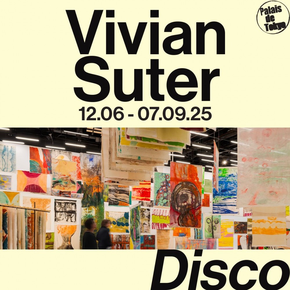 Vivian Suter, Disco 1