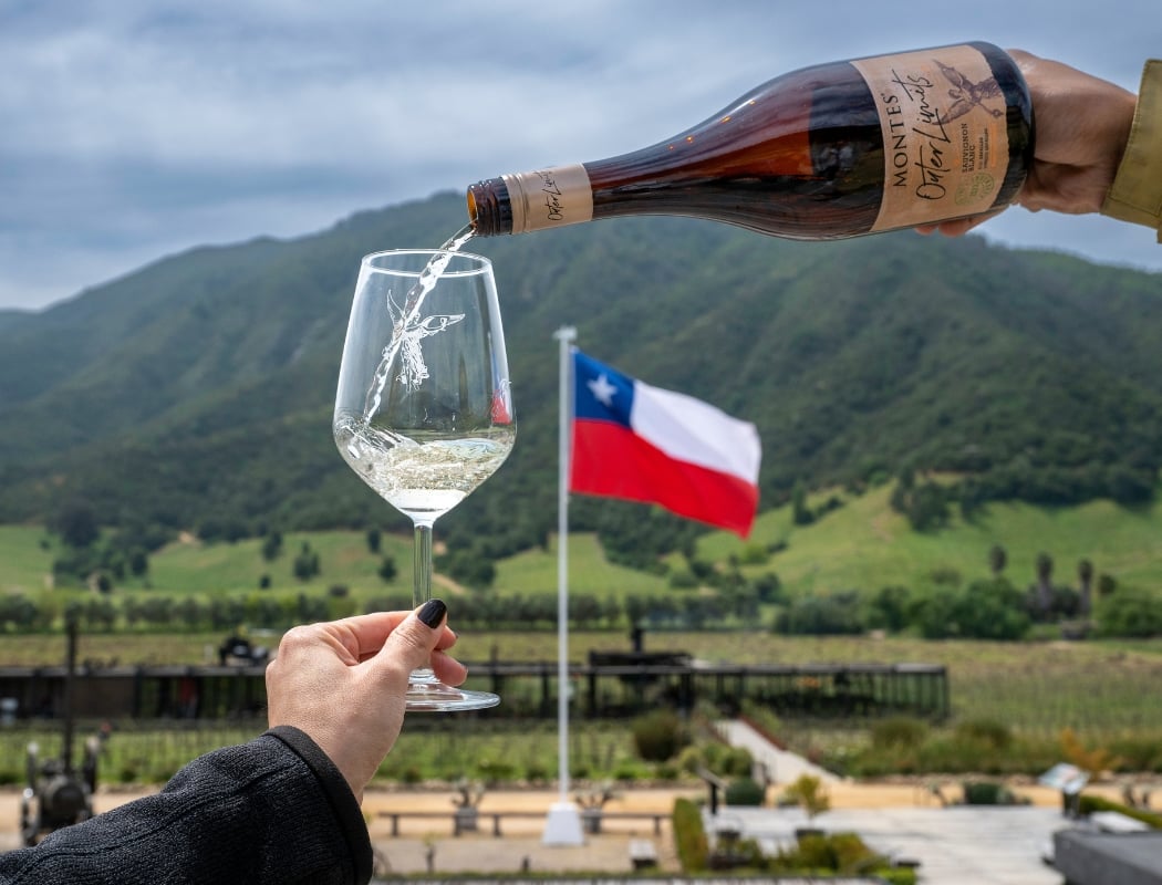 Rails & Reserves: Chilean Wine Dinner 1