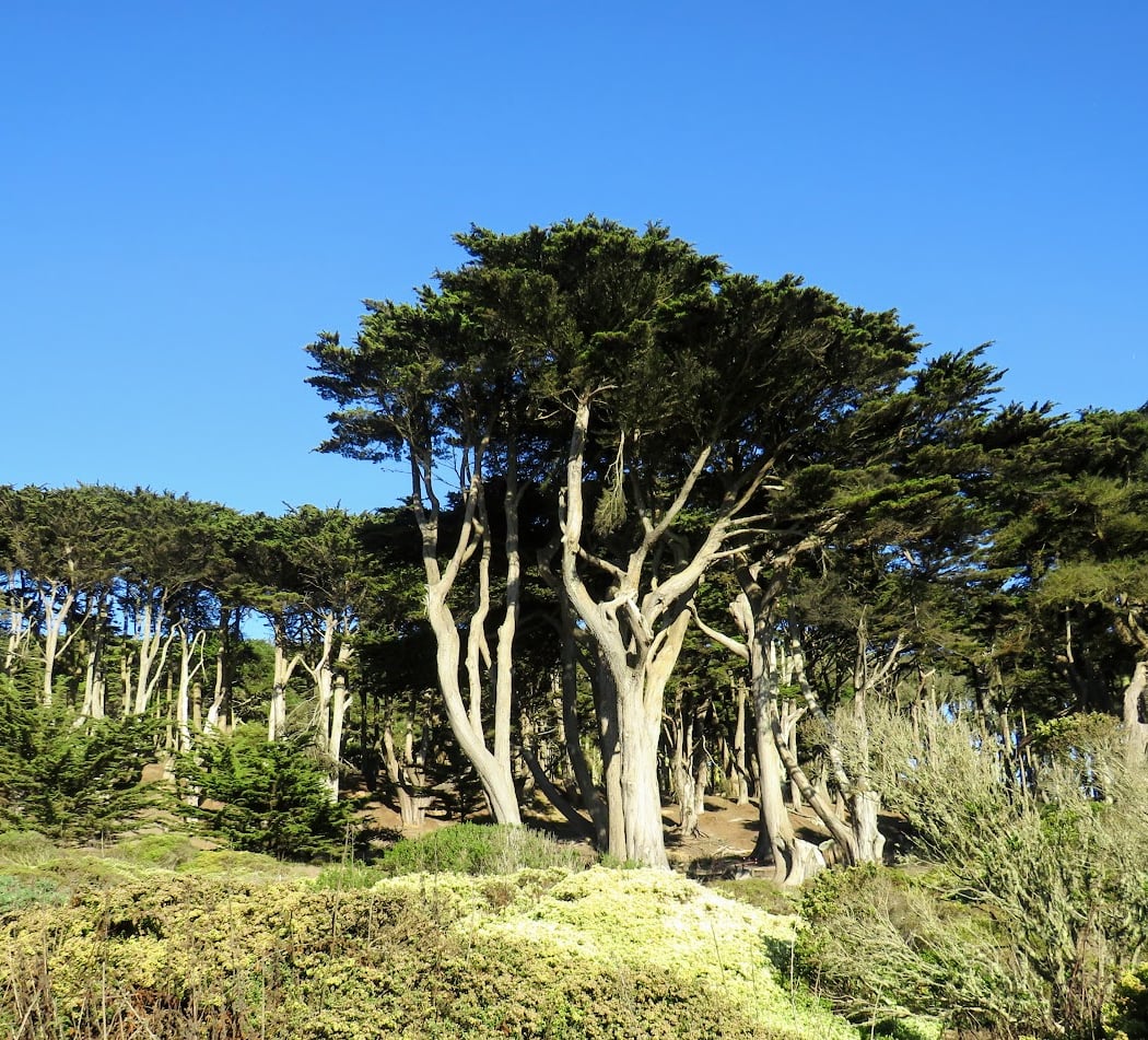 Lands End Trail 3
