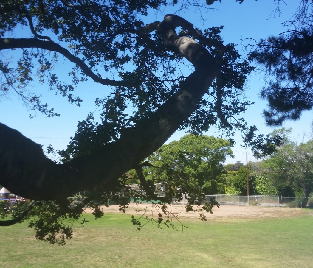 Tiller Park 3