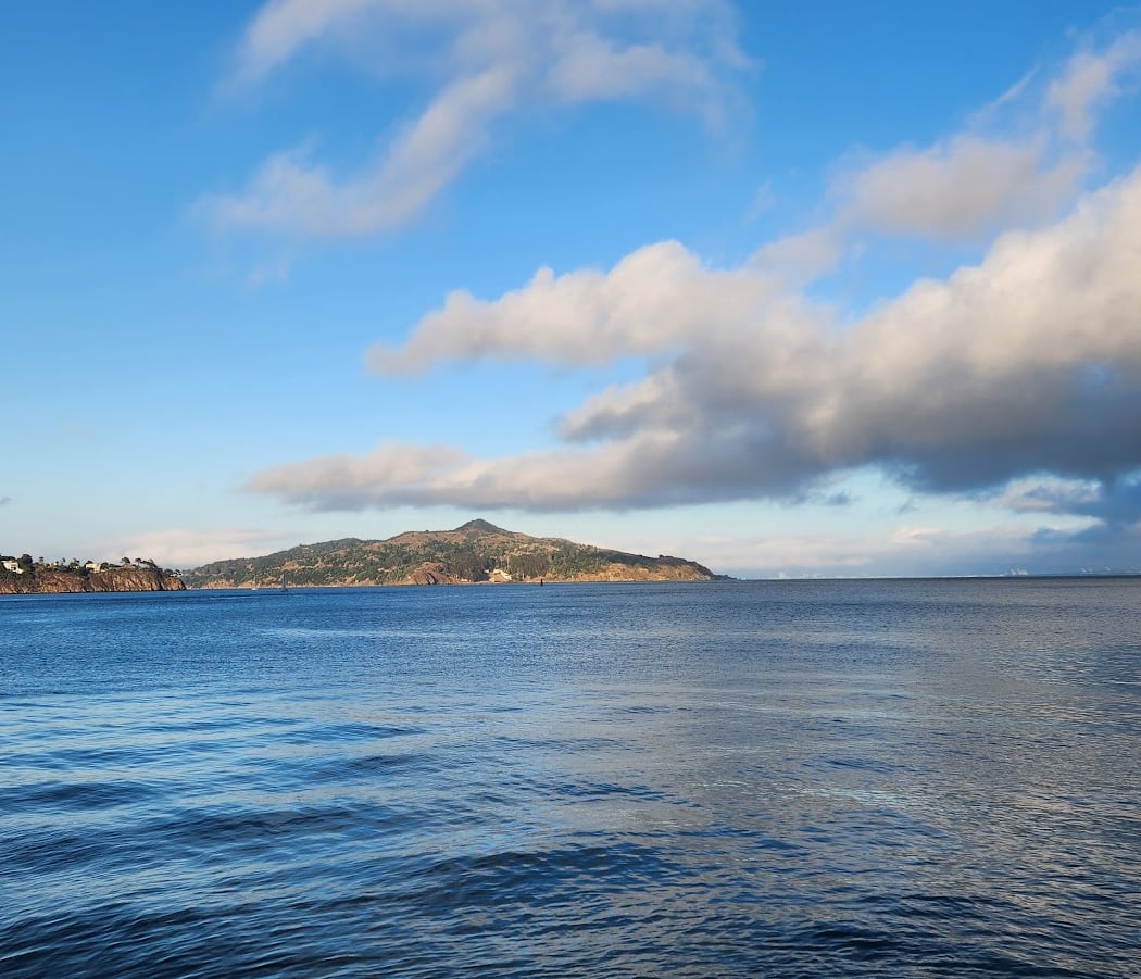 Sausalito Beach 3