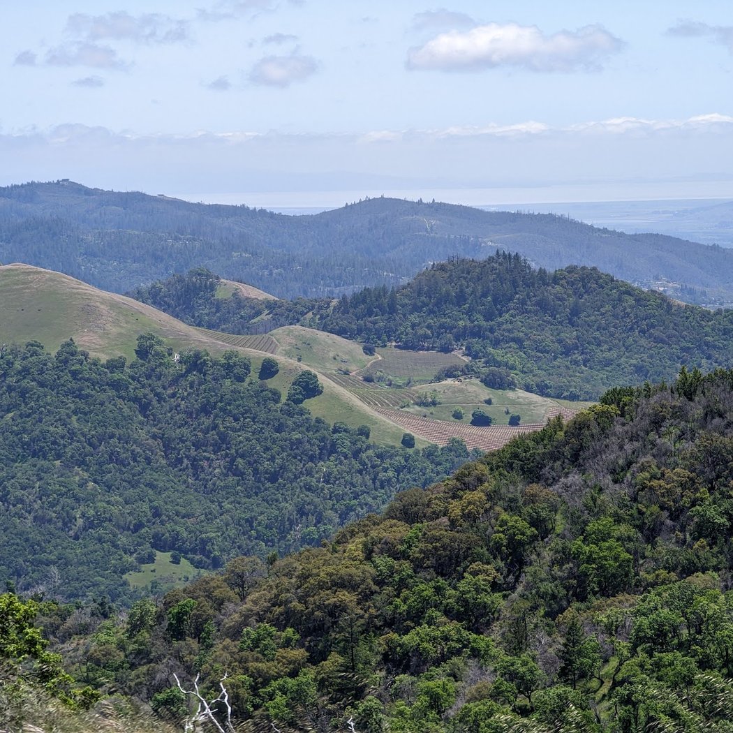 Park Rx—Beginner Hiking for Fitness series 4
