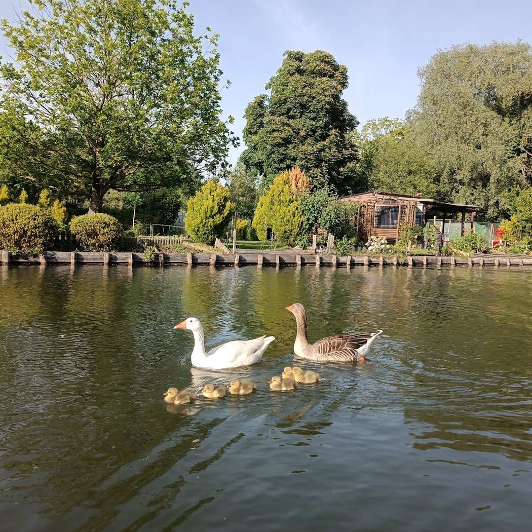 Les secrets du marais - Hortillonnages d'Amiens 3