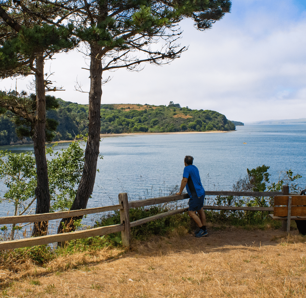 Vista Point Group Picnic Area 1