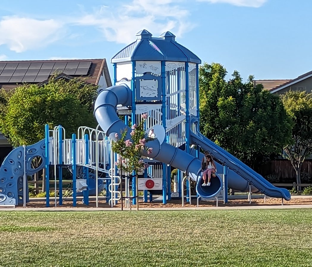 Dolphin Park 3