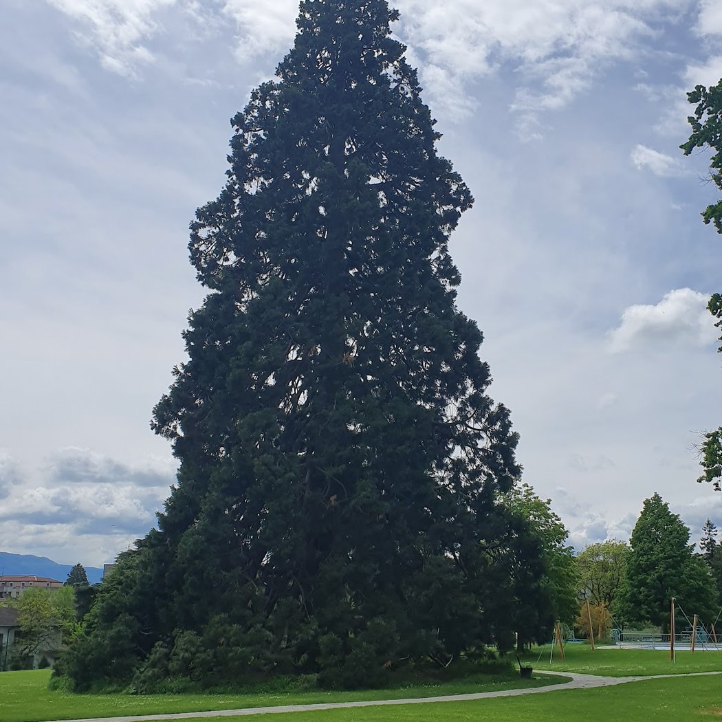 Parc de Trembley 5