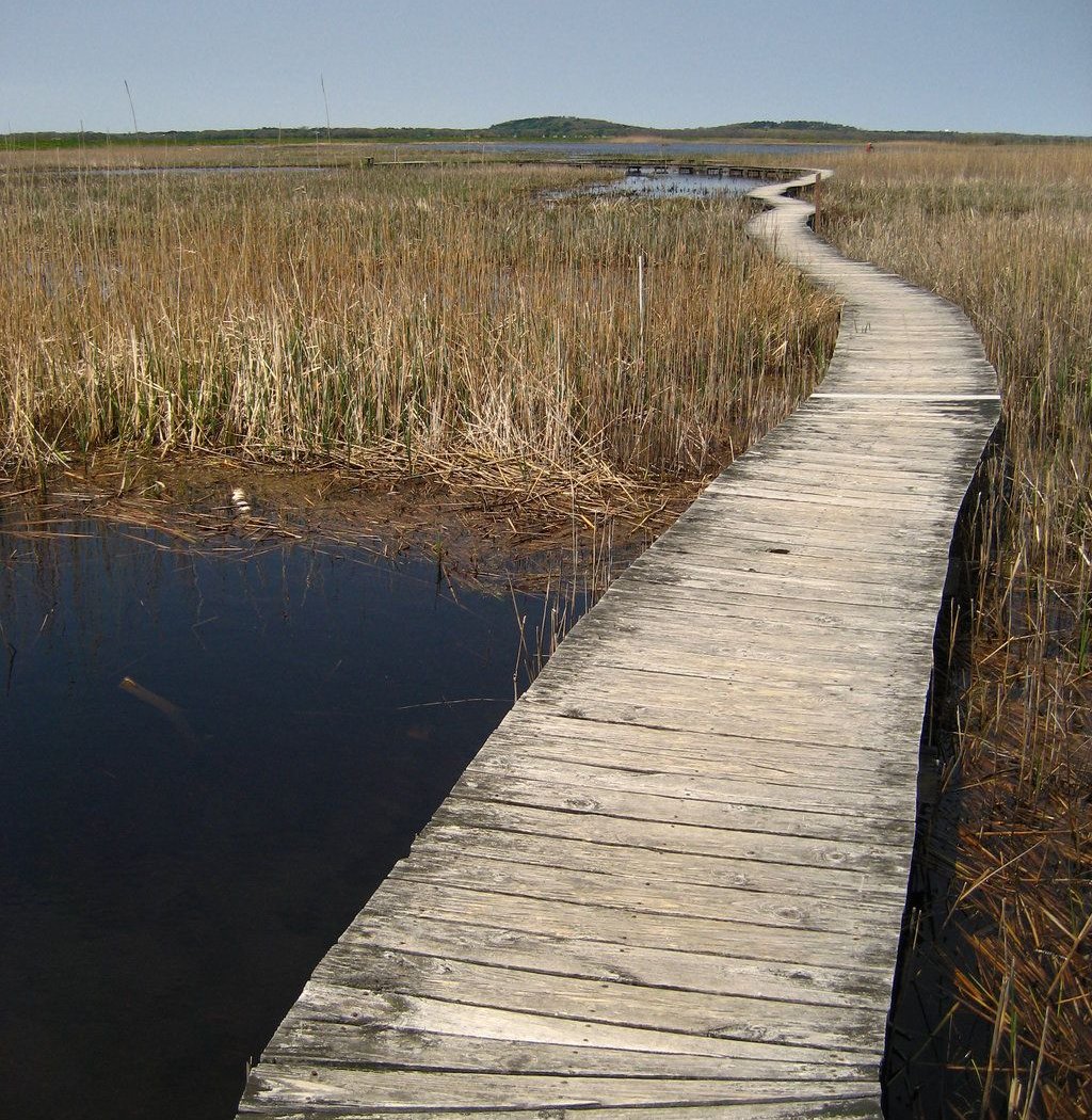 Juneteenth Choate Island Kayak and Hike 2