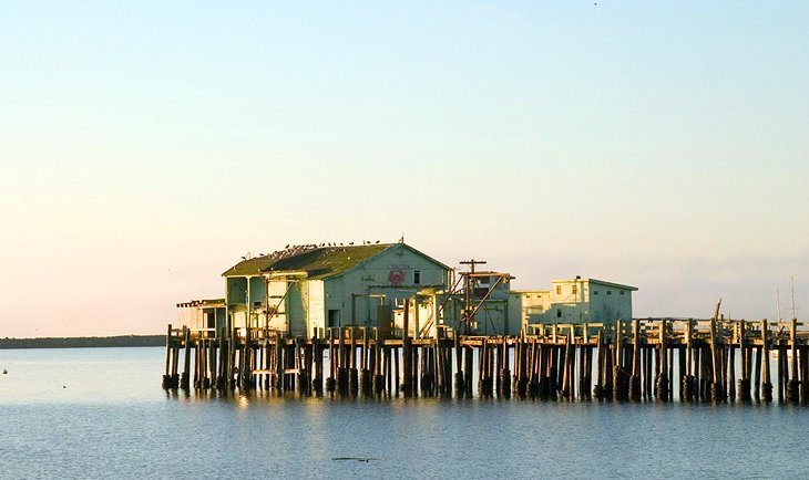 Pillar Point Harbor 2