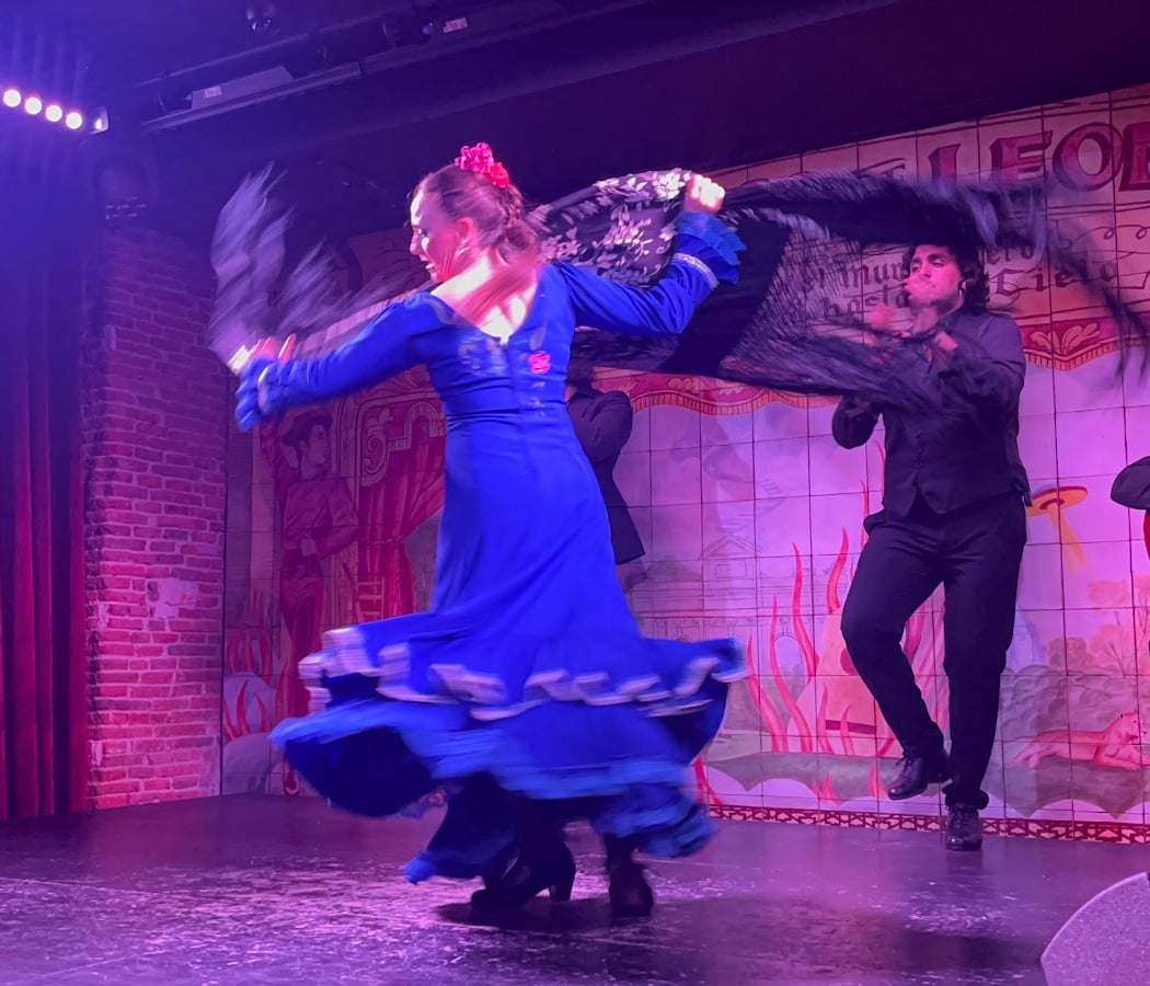 Flamenco de Leones 3