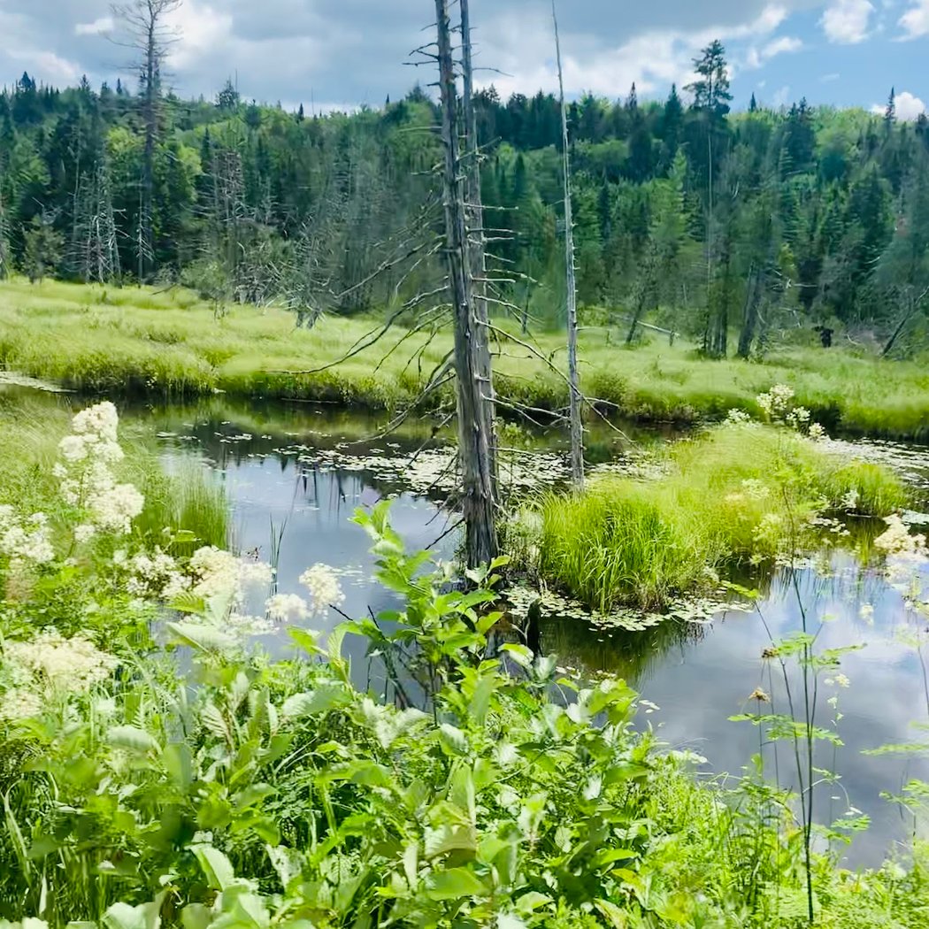 Mauricie 2