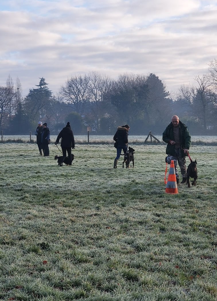 Kennel Club of Basse Goulaine 3