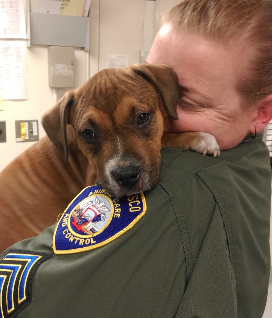 San Francisco Animal Care & Control 1