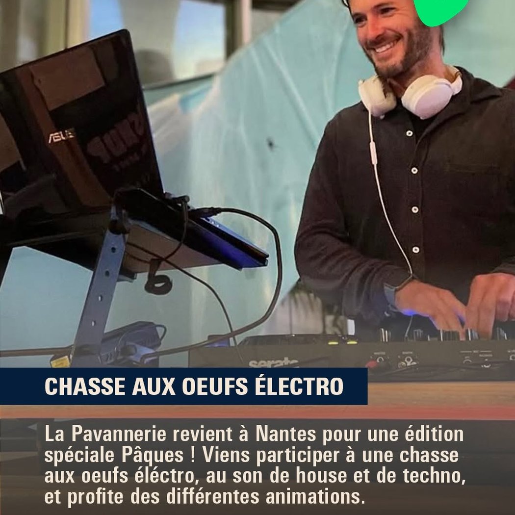 Chasse aux oeufs électro 1
