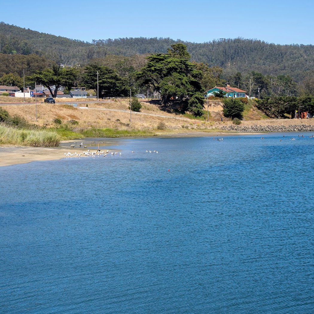 Pillar Point Harbor 3