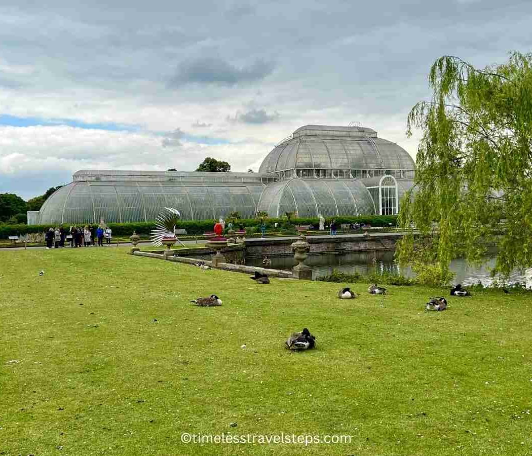 Palm House 2