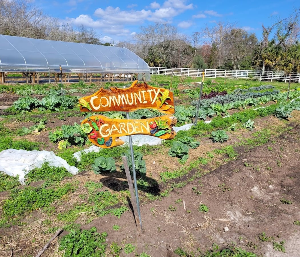 Eartha's Farm & Market 1
