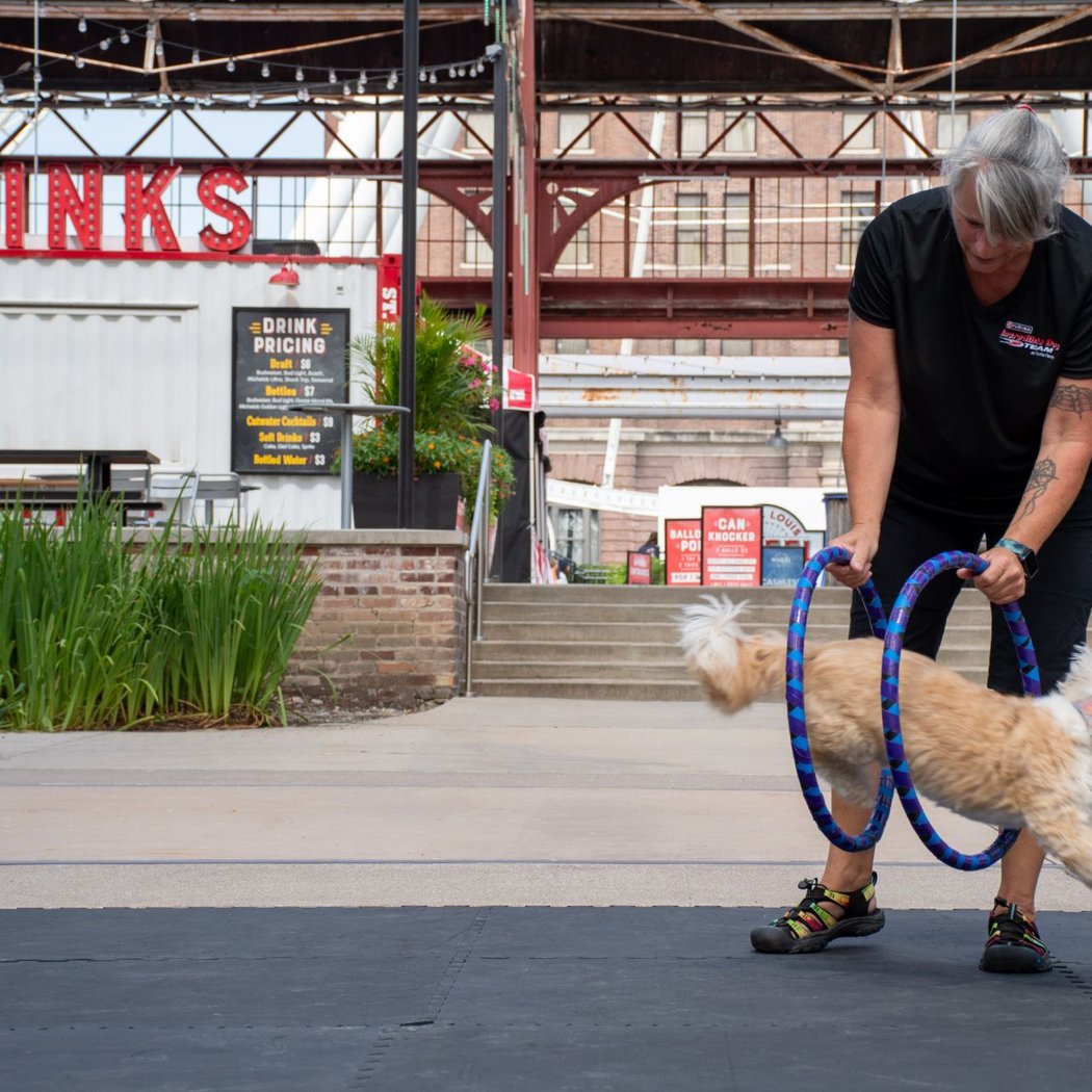 Purina Incredible Dog Team Performance 3