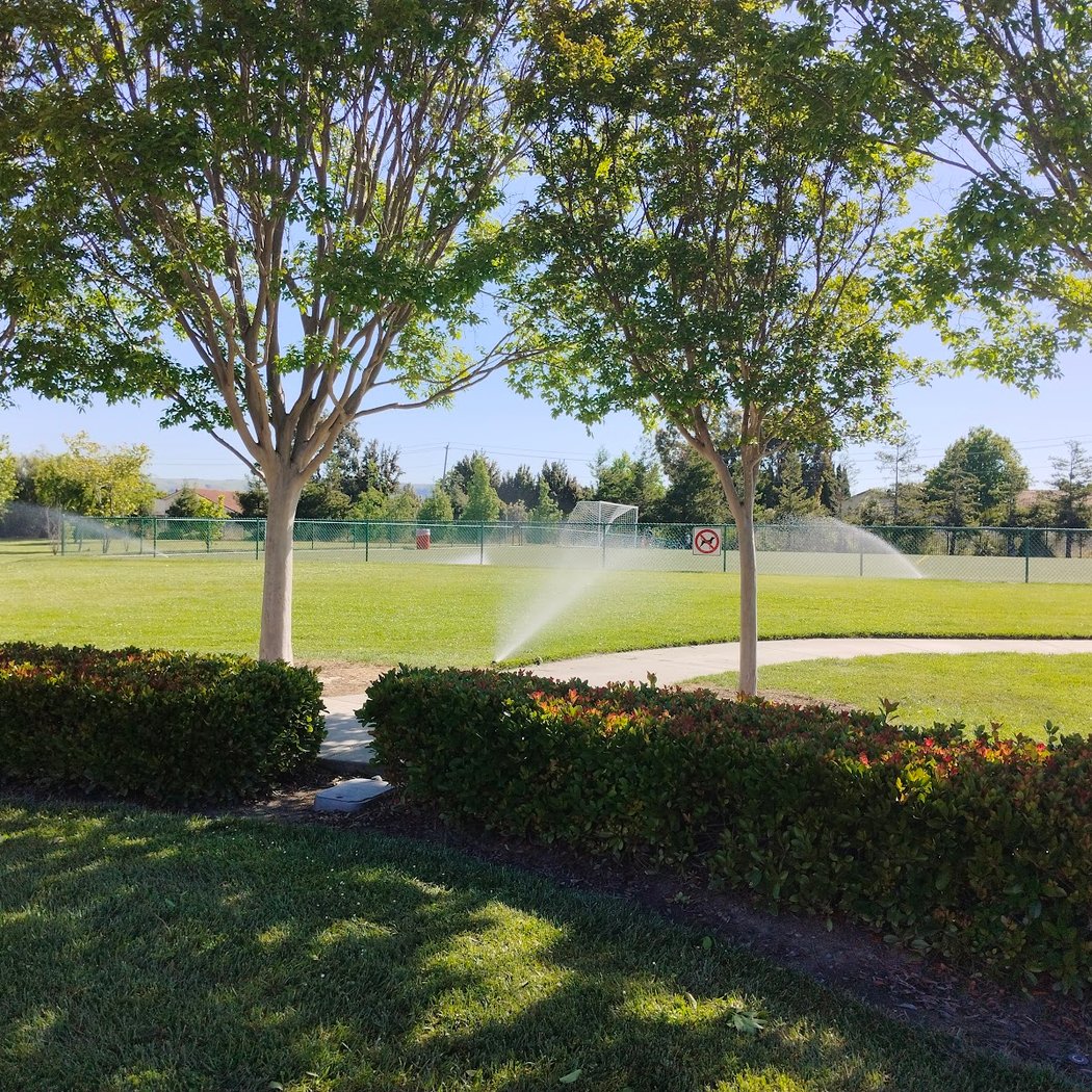 Accinelli Park Soccer Field #1 3