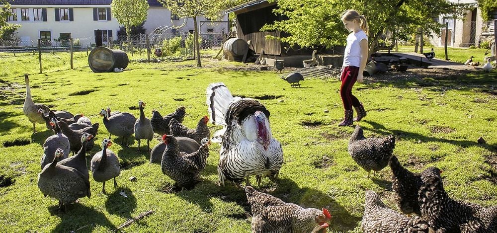 La Ferme du Bonheur - Chez l'Gaby 1