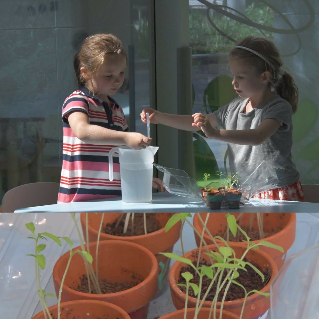 Nursery School Bilingual & Club Arco Iris Boulogne Billancourt Paris 1