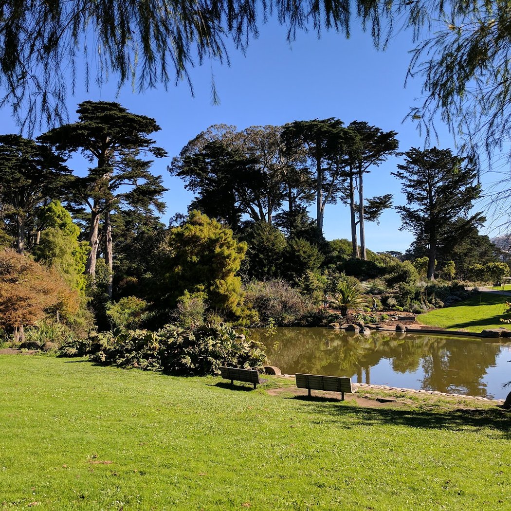 San Francisco Botanical Garden 2