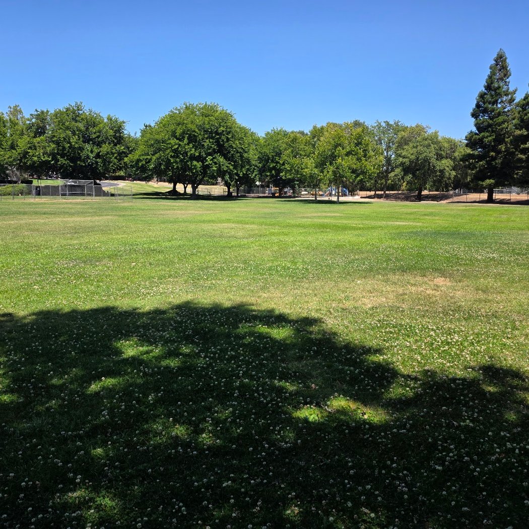 Beelard Park 1