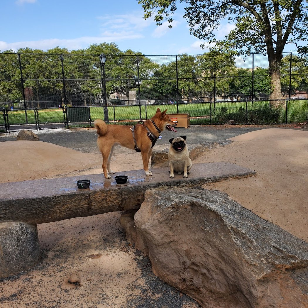 St. Mary's Dog Run 1