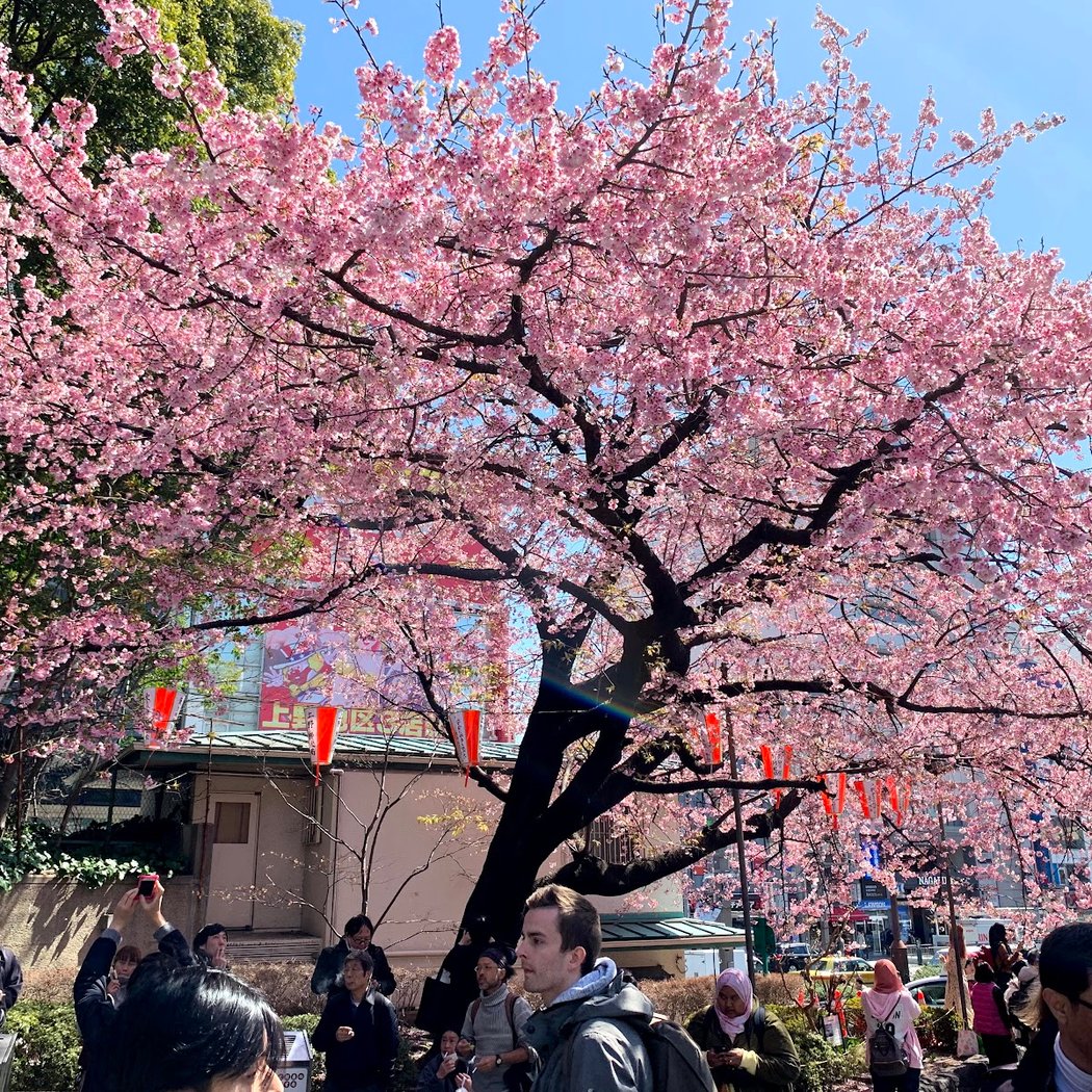 Ueno Park 3