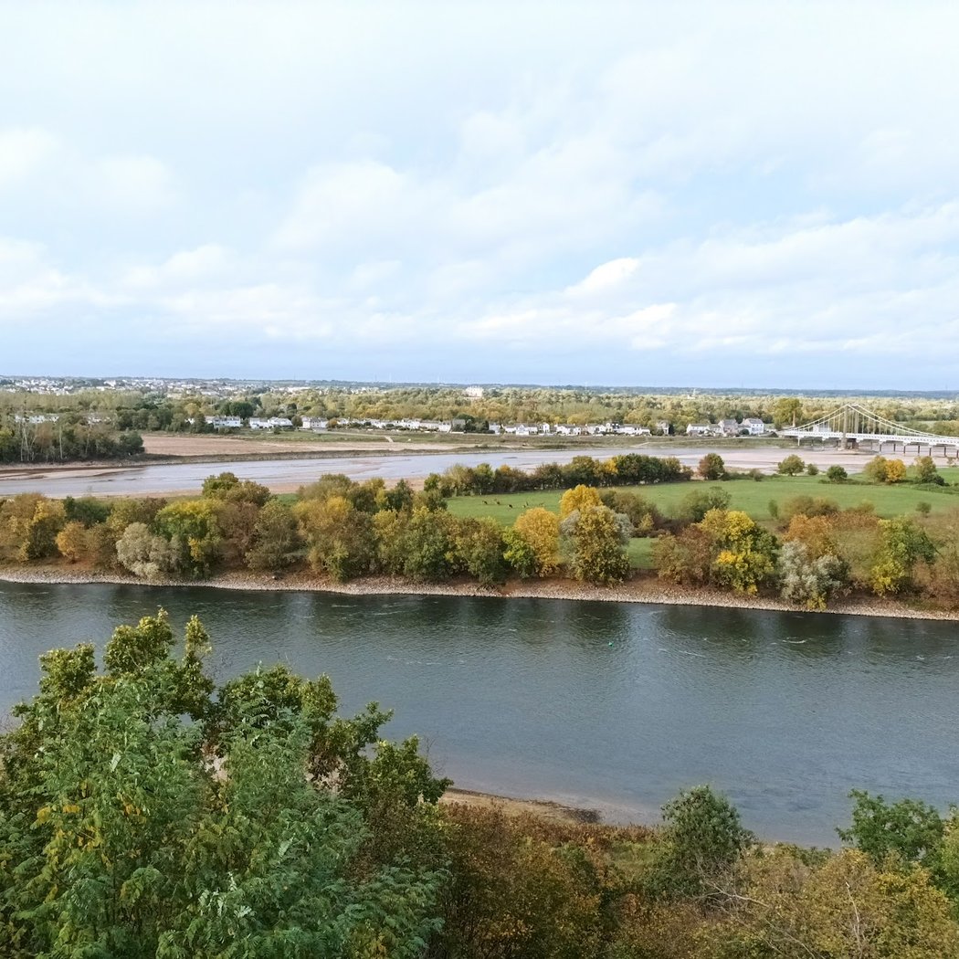 Panorama sur la Loire à Saint-Florent-le-Vieil 3