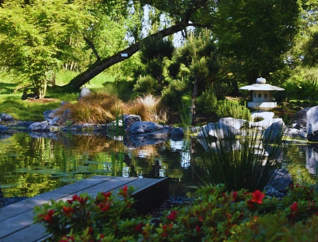 Les jardins japonais de Favières (réservation obligatoire) 3
