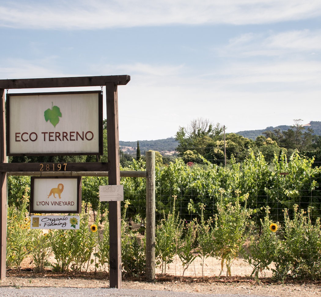 Eco Terreno Wines & Vineyards Corporate Office 3