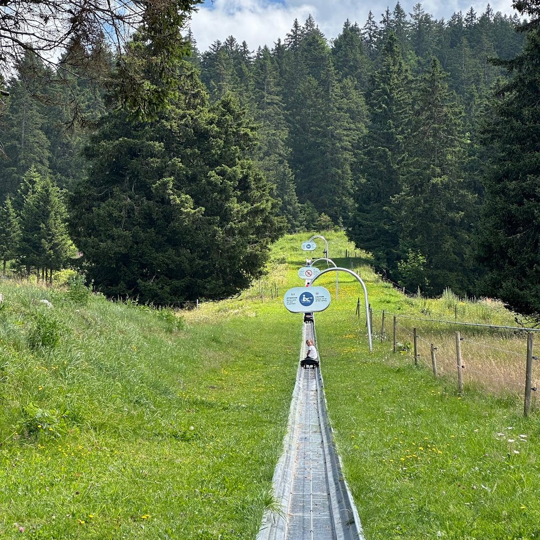 Summer rodeling 1