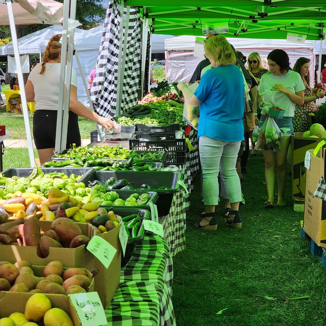 Colorado Springs Sunday Market at Acacia Park 2