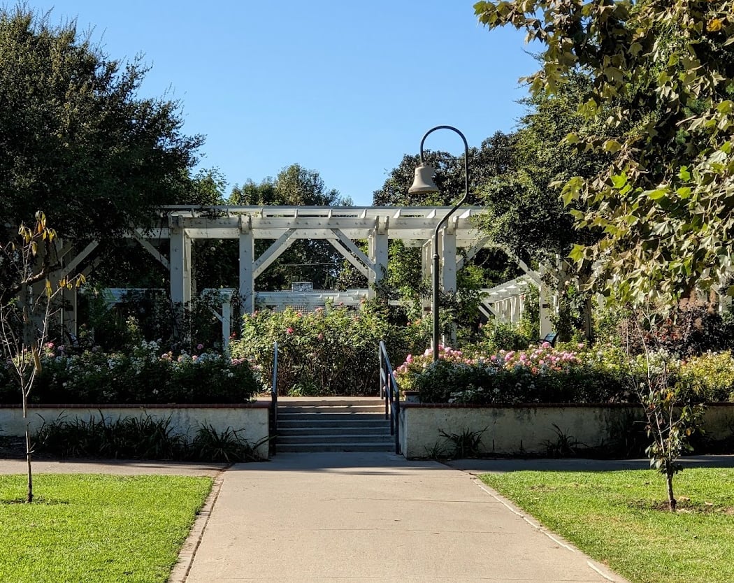 Lacy Park 3