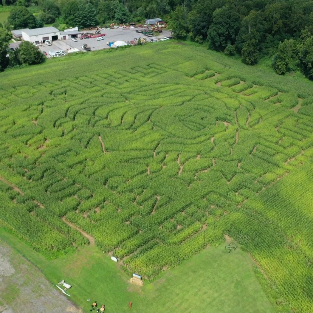Dolly Parton Corn Maze 2