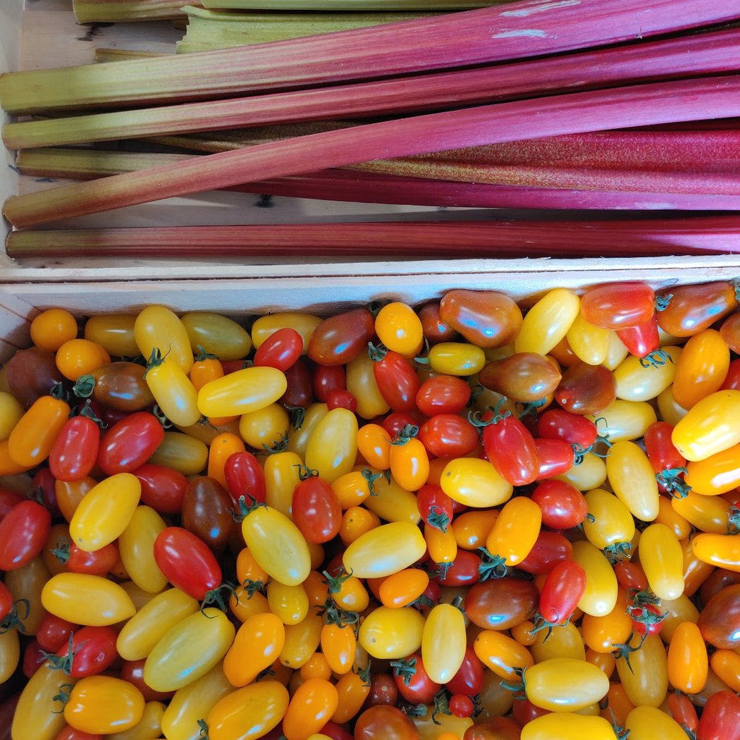 Le Nid des Producteurs 1