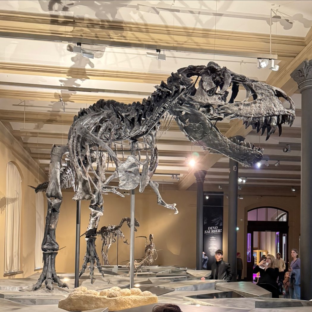 Museum für Naturkunde Berlin 4