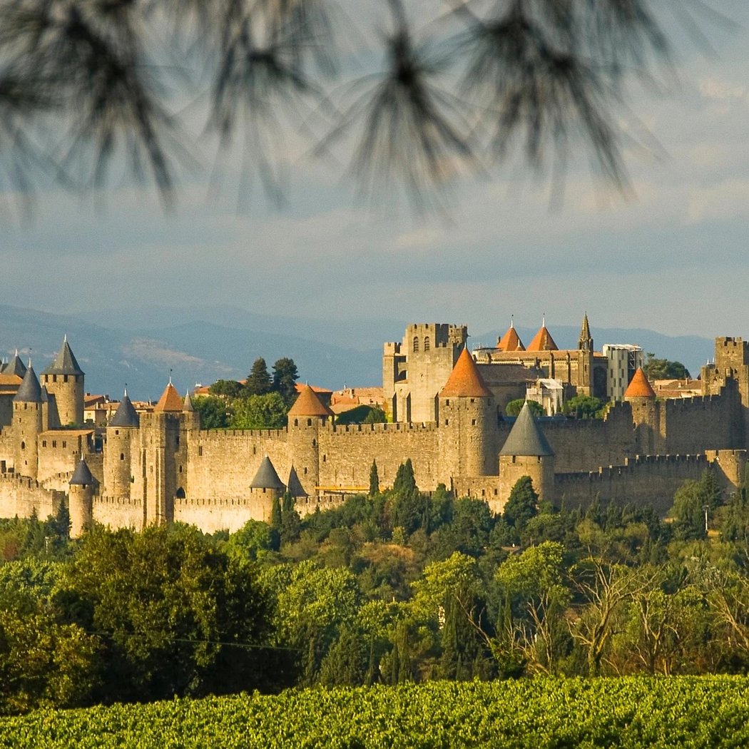 Carcassonne 1