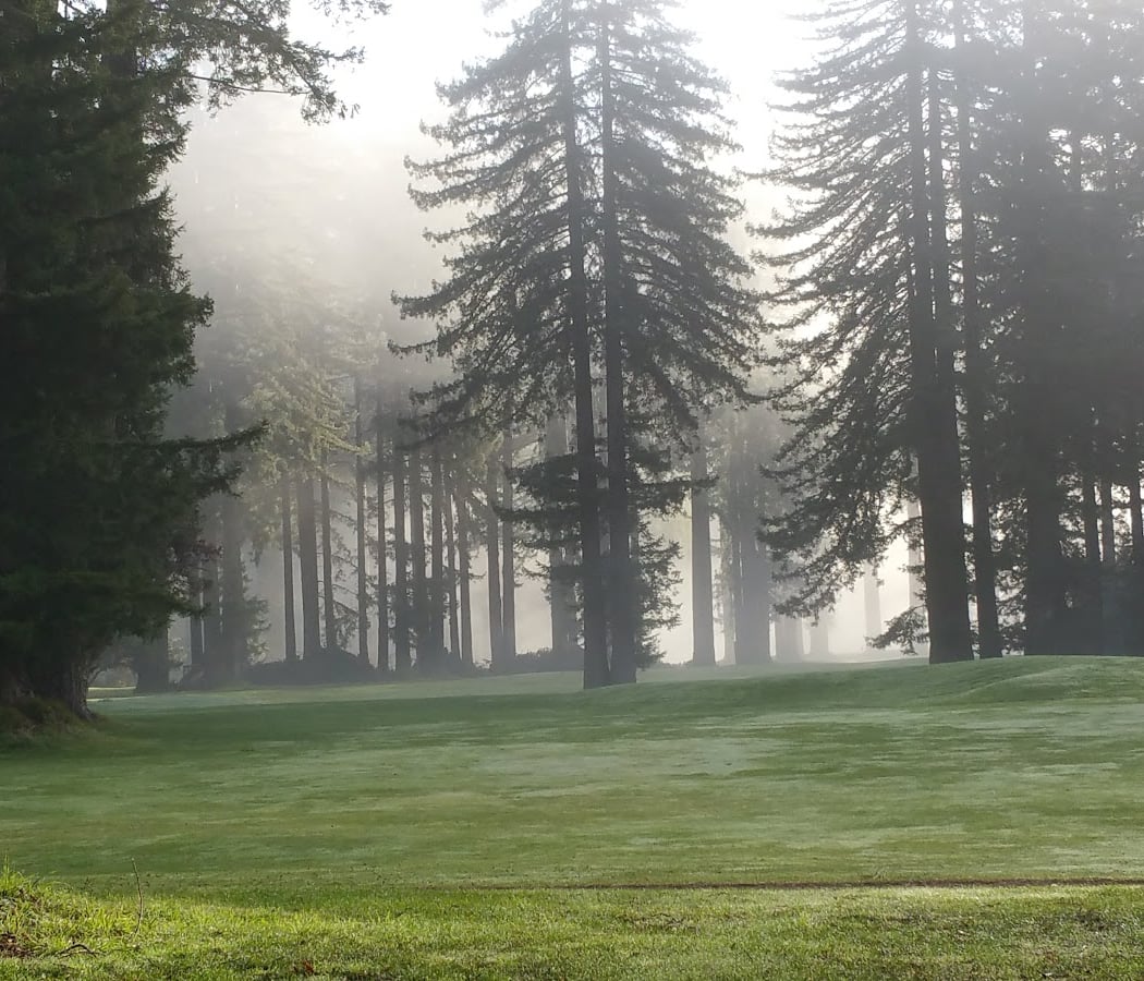 Northwood Golf Club 3