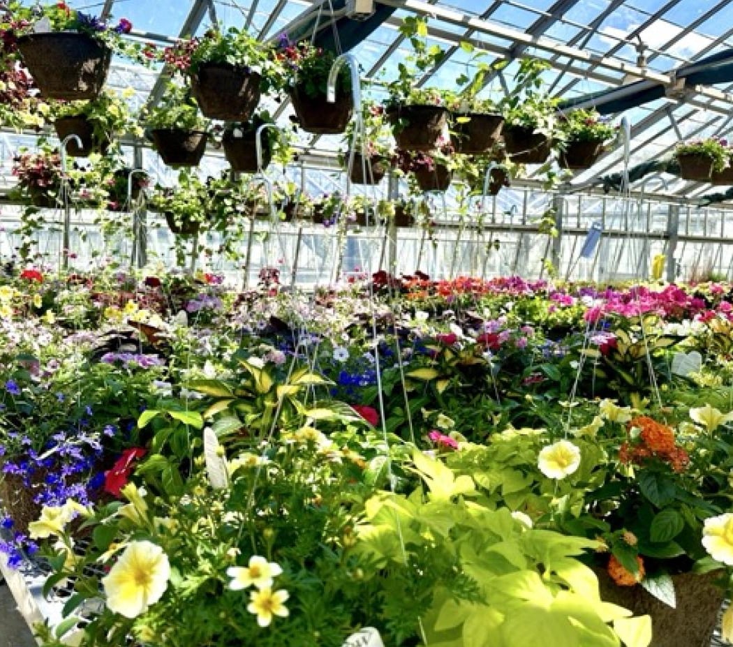 Spring Plant Sale 1