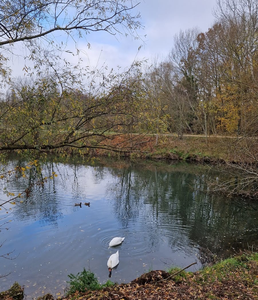Bassin de Longpont 3
