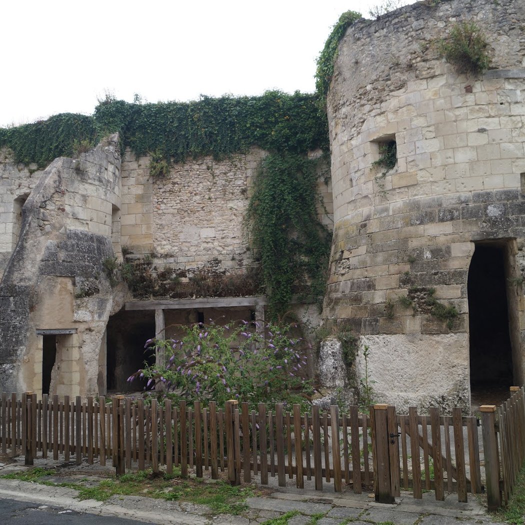 Tour César (donjon) et vestiges du château fort 2