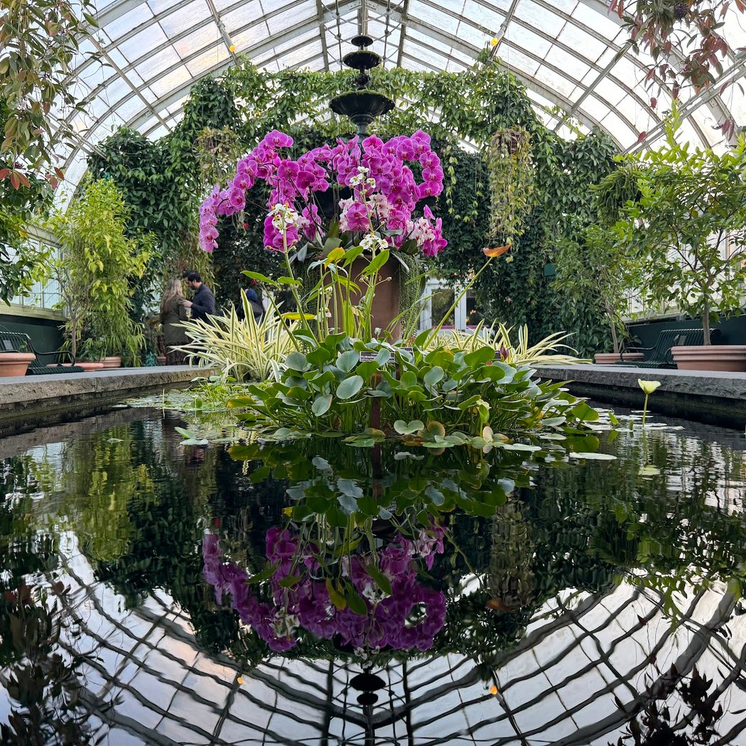 Enid A. Haupt Conservatory, NYBG 3