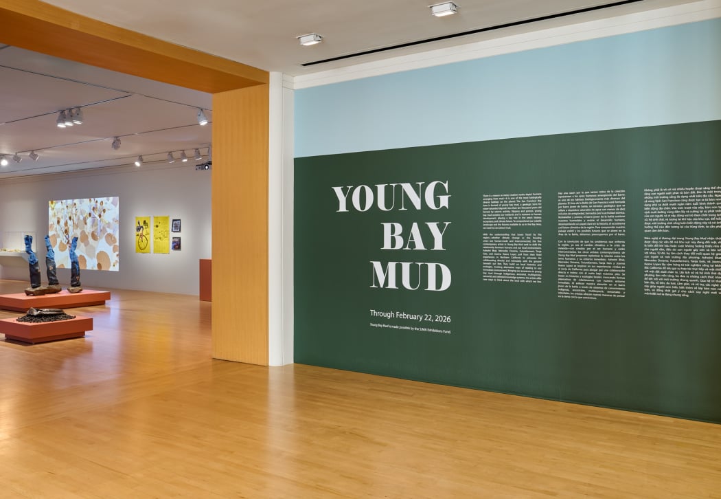 Young Bay Mud 2