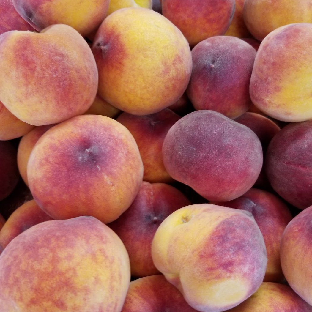 Palace of Fruit 1