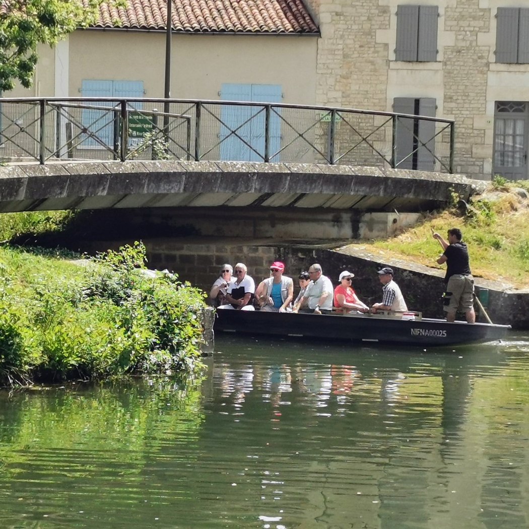 Coulon 1