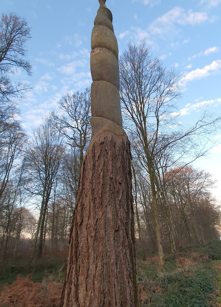 Foret Domaniale de Crecy 3