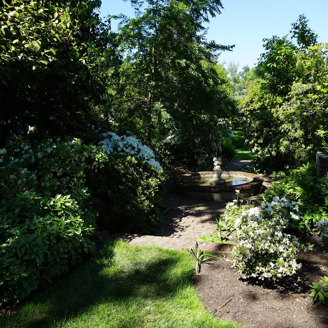 Gaiety Hollow Open Gardens: Constant Billy 2