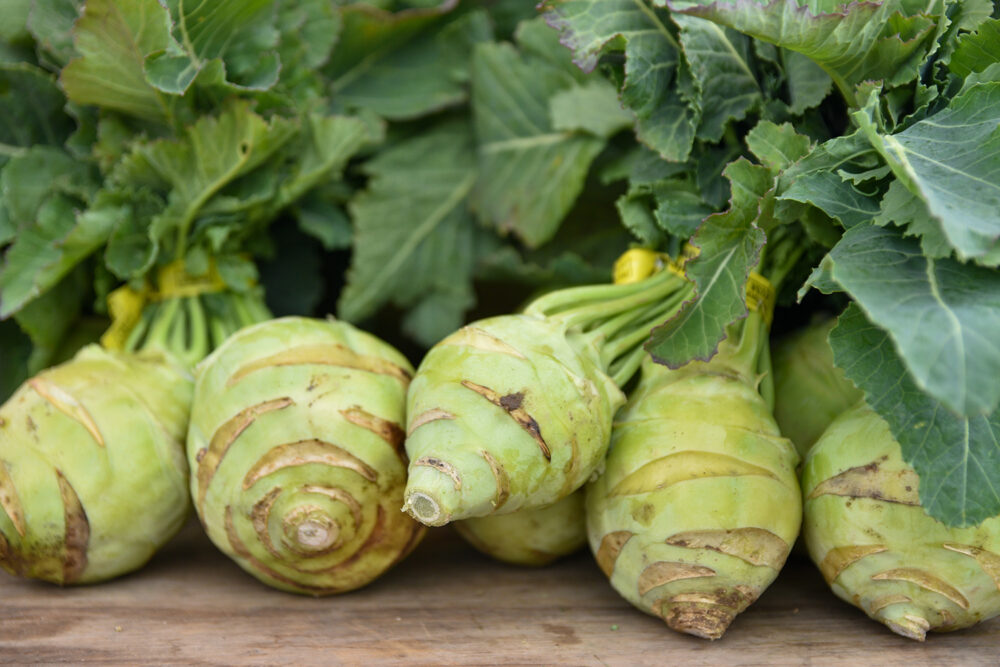 Brassica Bash 1