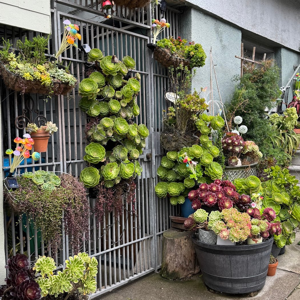 Love in Haight Fairy Garden 3